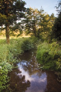 Photo 5 The stream at Lower Wraxall.