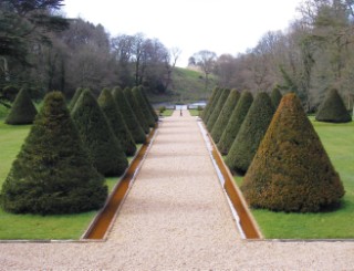 Parnham’s topiary has remained unaltered through the ages.