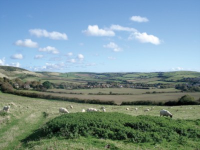 south-dorset