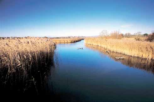 1009663.tif Radipole Lake is one of the two RSPB reserves in the seaside resort known as the Weymouth Wetlands, the other being on the sea front at Lodmoor