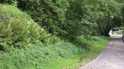 1210edSydling3 The lane up to the church. On the left is the vicarage garden’s bank, the likely location of the mustard and cress planting and visible to all those attending the Sunday service