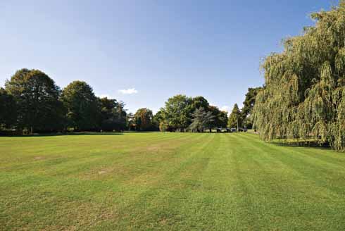 311edWALK6 and the greenery of Parkstone