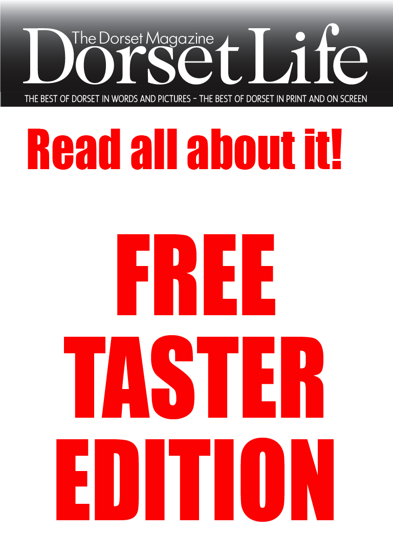 FRONTPAGE 2003 DOWNLOAD frontpage 2003 download: