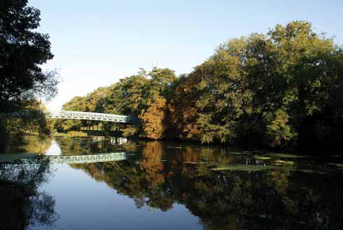 The view of the Stour eastwards from Blandford Bridge towards the Weir and pedestrian suspension bridge