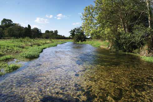 The Frome is crystal clear and, during the summer months may be just a single stream, which can (between the permitted dates) be forded to travel from east of West Stafford (where this shot was taken looking west towards Dorchester) to Lower Norris Hill Farm.