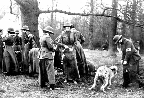 Members of the Women’s Sick and Wounded Convoy Corps at their Studland camp, together with shaggy mascot. Some of the women wear an armband indicating their role