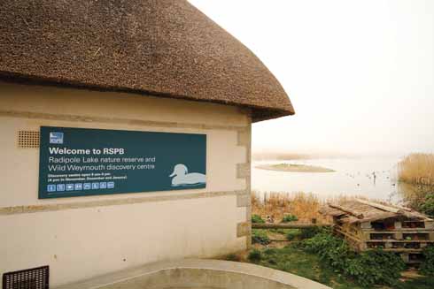 A rather prescient sign at the Radipole Lake nature reserve; there are indeed some wild discoveries to be made at the reserve