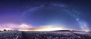 It is fair to call the above shot a never-to-be-repeated, four-for-the-price-of-one, miracle picture. Firstly it is a picture of the Aurora borealis (the purple tint far left) when visible near Blandford, which hardly ever happens; it also has the milky way arcing above the lights of Blandford Forum itself; for added astronomical interest it also has the discworld shape of the Andromeda galaxy, which can be seen above the solitary cloud, and the whole thing is against a backdrop of medical opium poppies magically in bloom at the correct moment. It was taken with a ten-second exposure at 1.22 in the morning. The day before there had been no aurora, nor the day after, the poppies' petals were gone in a week.