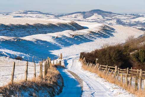 Eggardon Hill in the snow. The strip lytchetts are enhanced rather than obliterated by the snow thanks to the raking light.