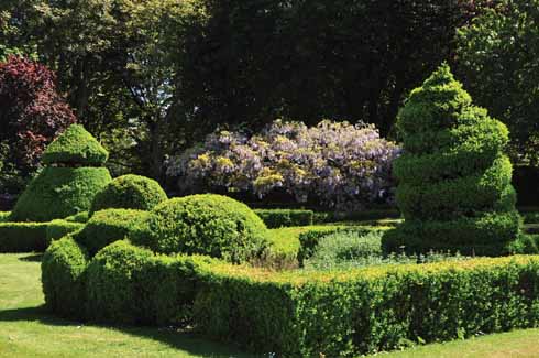 A view of the topiary garden: it is a wonderful mix of formal elegance, with its box-edged beds and topiary, enclosing the imaginative box sculptures within