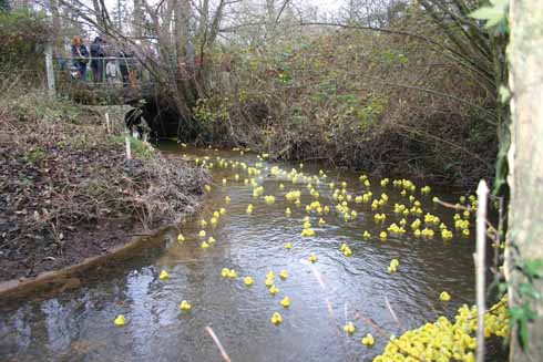 Spectators look down as some of the more astute ducks take the tight line around one of the course's early bends