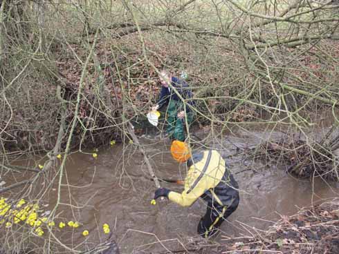 The watery equivalent of after the Lord Mayor's show: collecting the strays to ensure that no duck is left behind