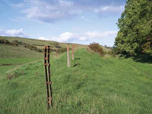 Cast and galvanized iron fencing posts mark the boundary of a shallow cutting close to Loders. The distinctive winding straining pillars and fence post caps were manufactured by Francis Morton and Co. of Liverpool.
