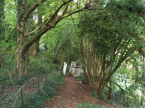The remains of a kissing gate leading up to the platform at Powerstock station; it was demolished after this photograph was taken