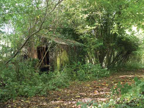 A gangers’ hut with brick chimney sits beside the Maiden Newton to Bridport branch line. It would have been used by railway maintenance teams.