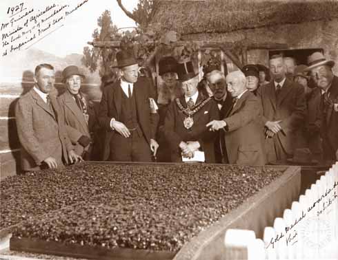 A gold-medal-winning display of Dorset watercress being shown off to the agriculture minister and Lord Mayor of Manchester, ninety years ago at the Imperial Fruit Show in Manchester