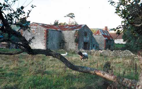 The state of disrepair into which the buildings had fallen when the DWT bought the farm