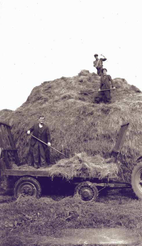 Members of the Wallbridge family (Leslie, Michael and Pat) building a haystack during the late 1940s.