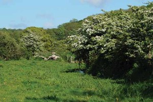 In spring the walk is a riot of greenery, in autumn and winter the views open up